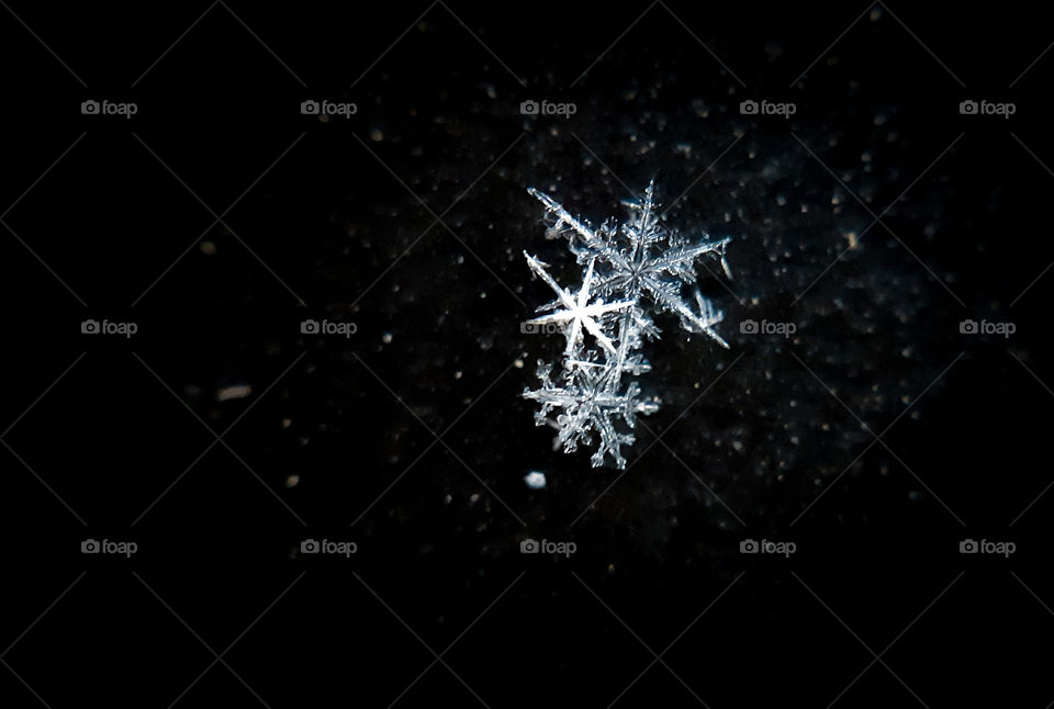 snowflake captured on phone