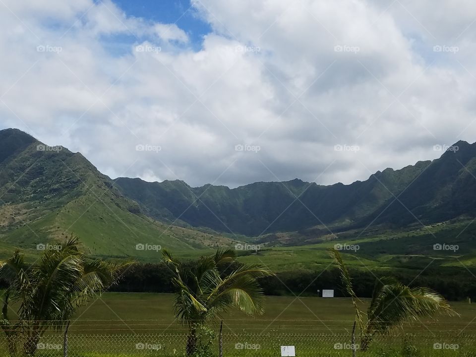 Green tropical valley in Makaha