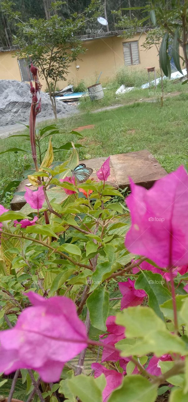 Met someone new 🦋💙