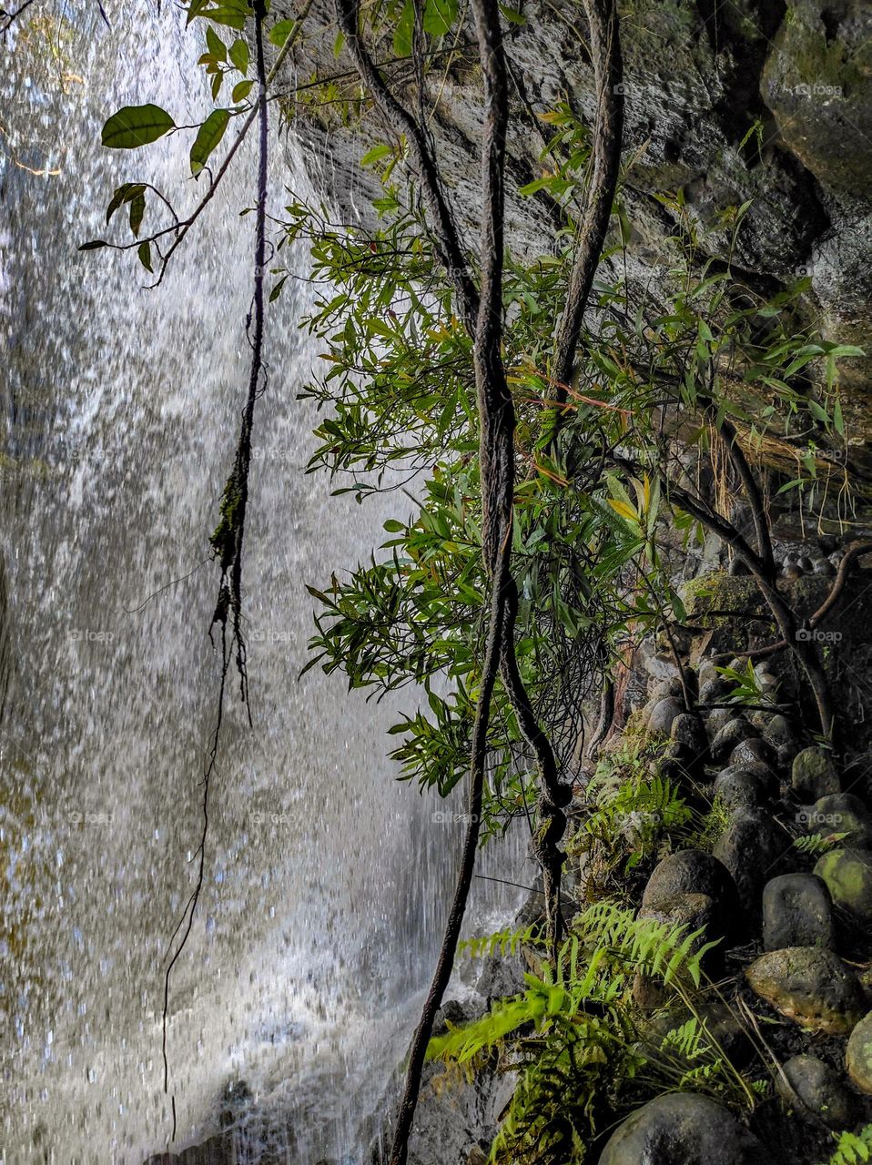 under the waterfall