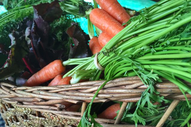 Basket with salad ingredients