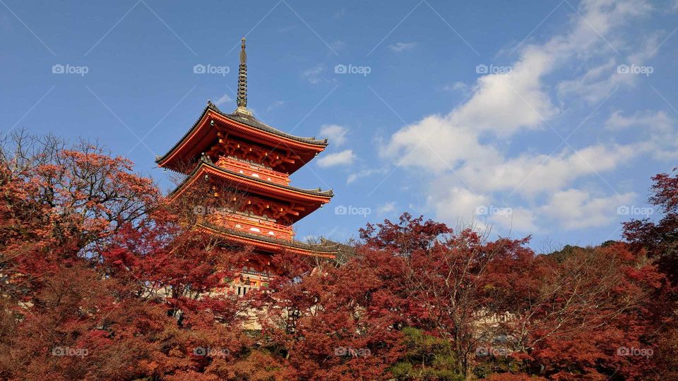 Kiyomizu-dera Temple in Kyoto, Japan