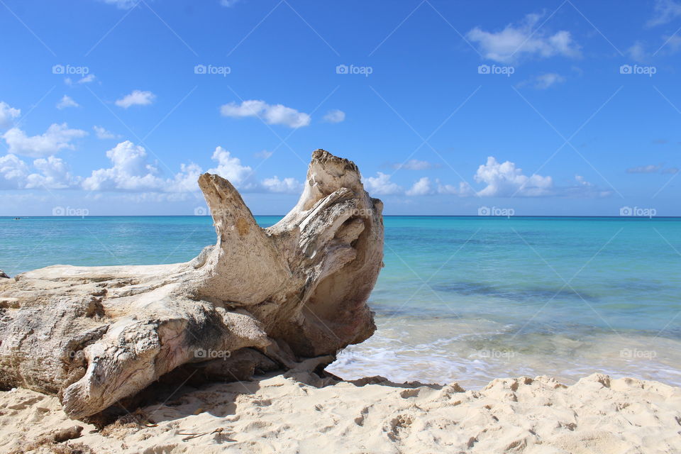 caribbean trunk