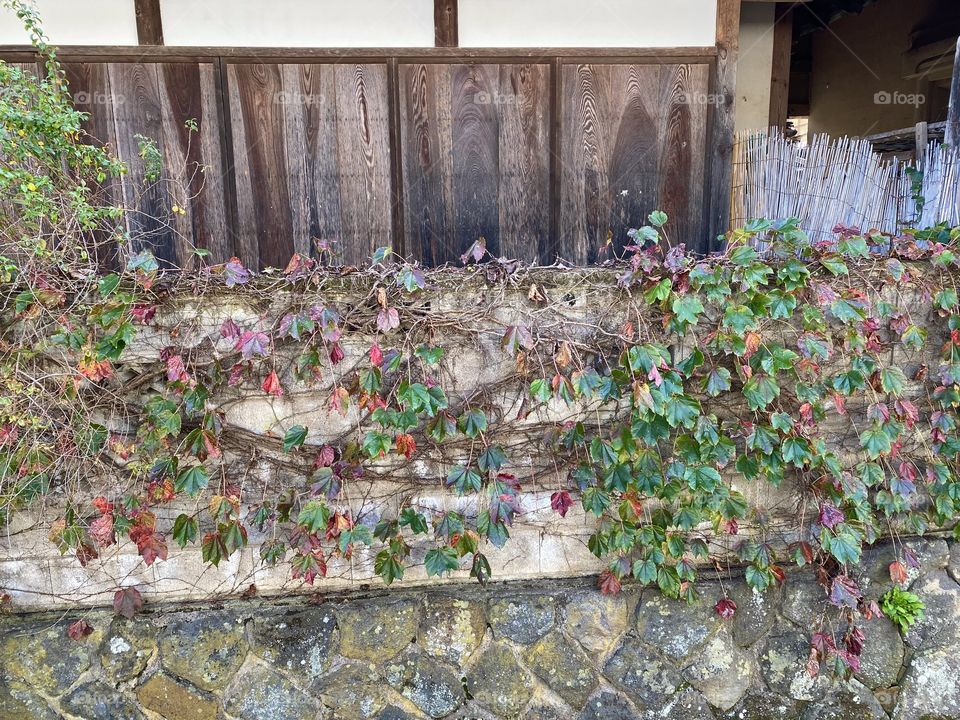 Wall of a private house