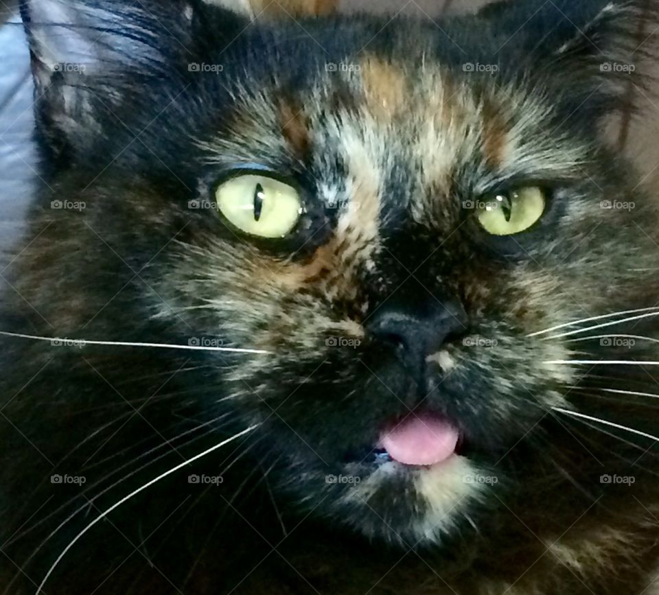 Ouch ! They pulled my tooth out!