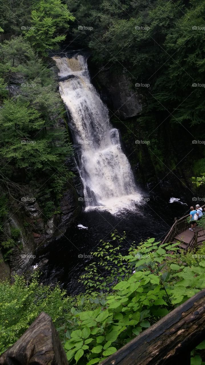 Waterfall, Water, Wood, No Person, Outdoors