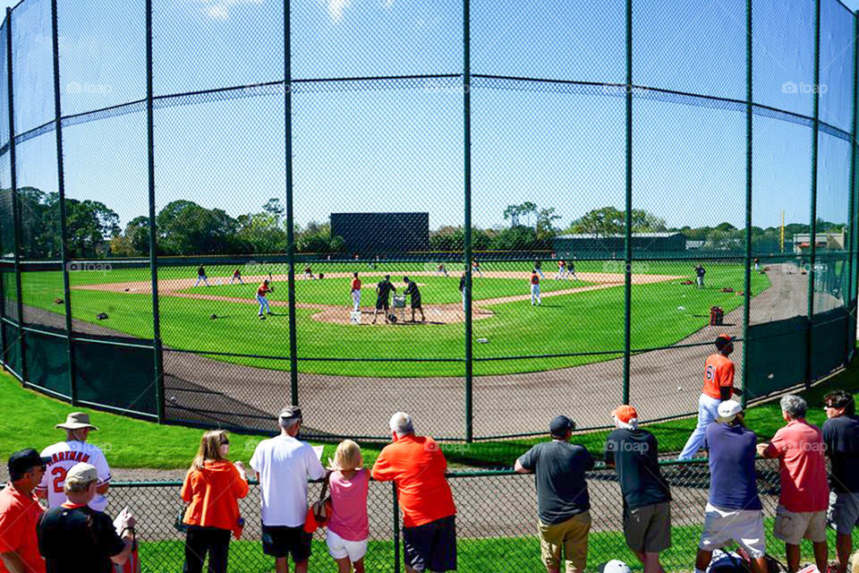 spring training. Sarasota Florida - home of the Baltimore Orioles spring training