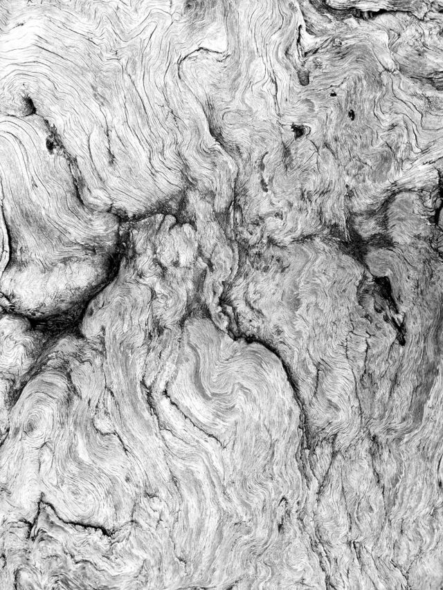 Burl wood grain greyscale