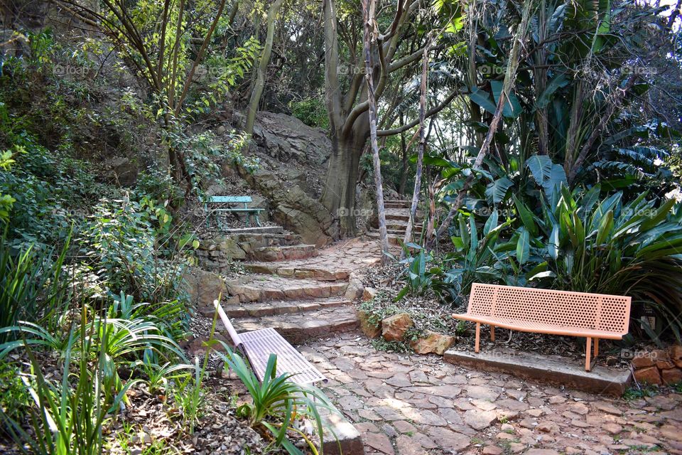 Tropical garden greenery in the botanical garden at the park, travel in garden with benches, explore on the stone walkway and path, walking the dog outdoors on a leash, hiking fitness, motivation to move, peace recreation and wanderlust and colourful