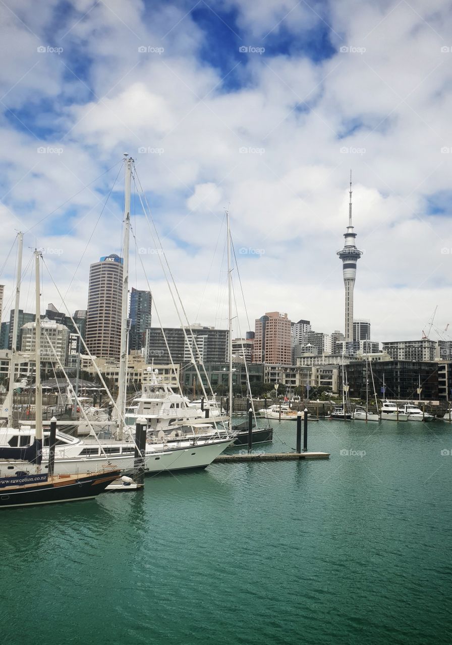 marina in auckland