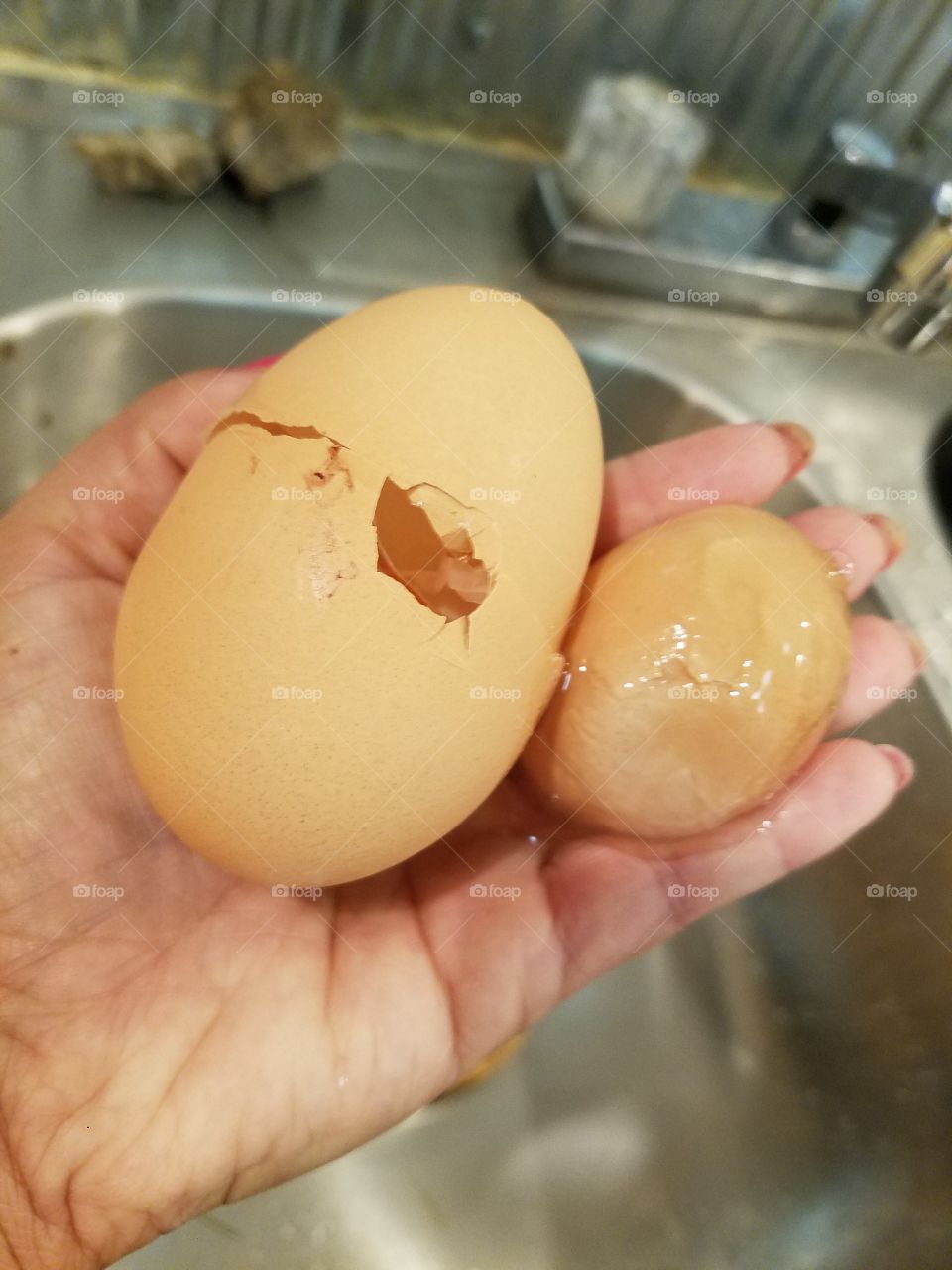 my girls laid an egg in a egg, so proud