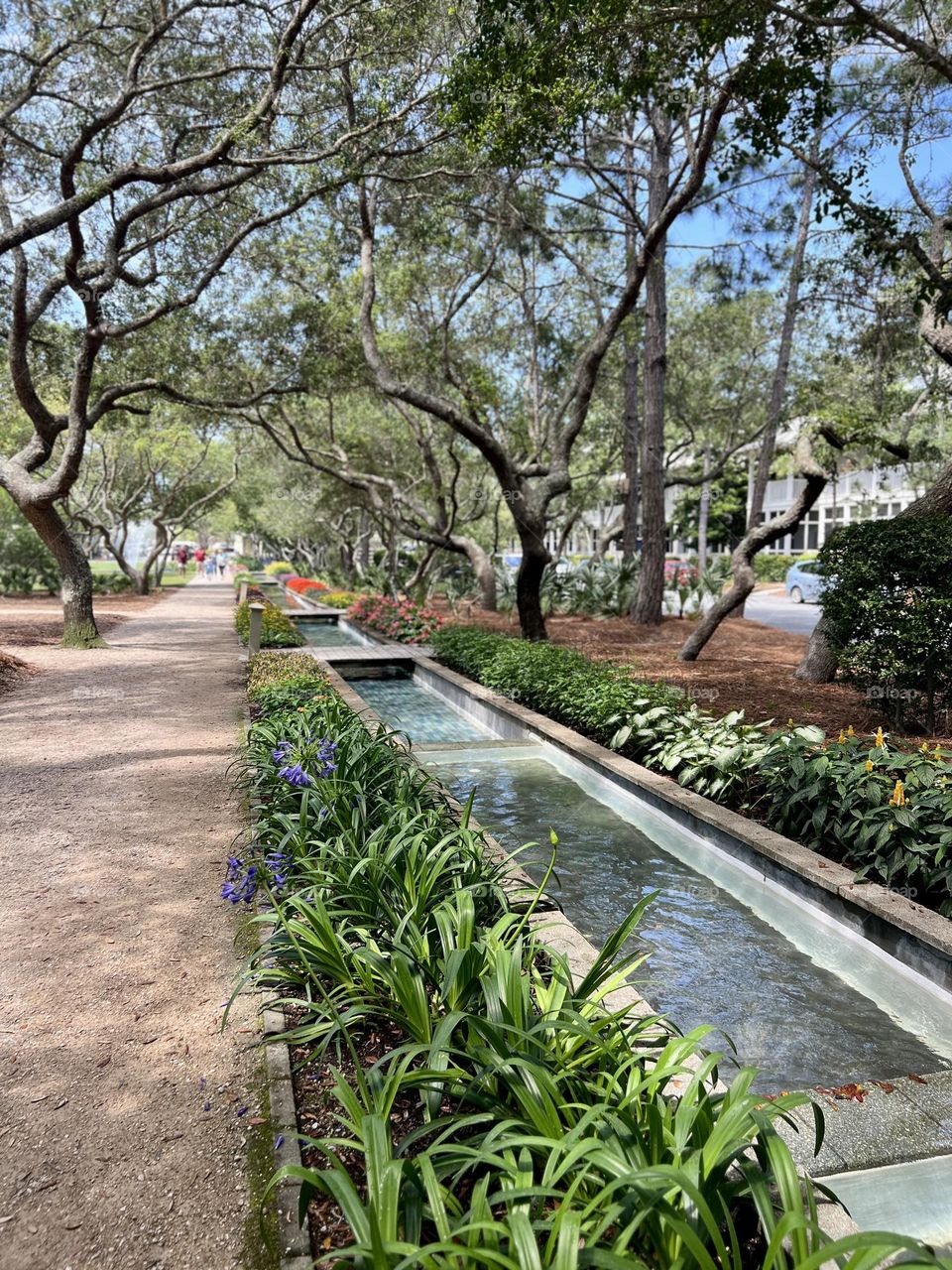 Lovely scene in city park in springtime. Elegant tree limbs create a canopy over a walking path, rows of blooming plants and flowers, and a gently flowing water feature.