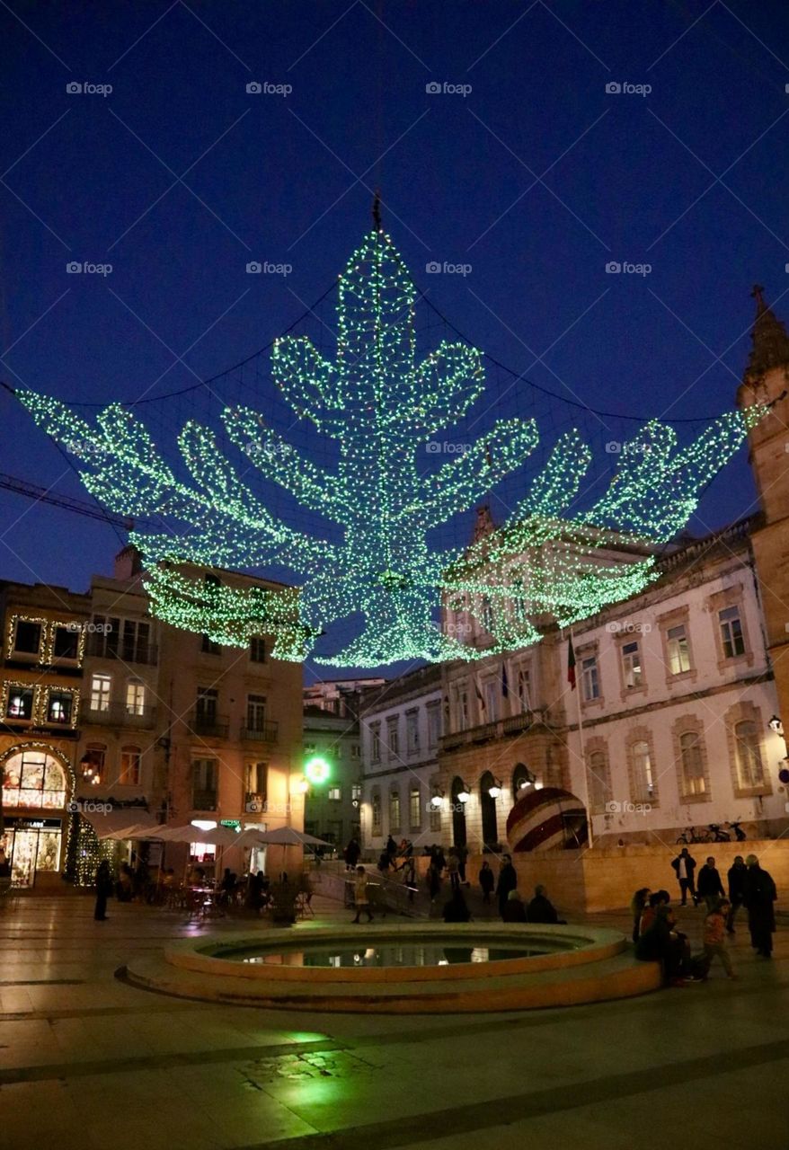 Twinkling lights and windows 