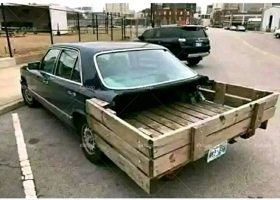 A very beautiful picture, and there is no better picture than it. There is no better picture of green herbs and colorful, red and white roses than it. Glory be to God, the natural and picturesque view, and there is no more