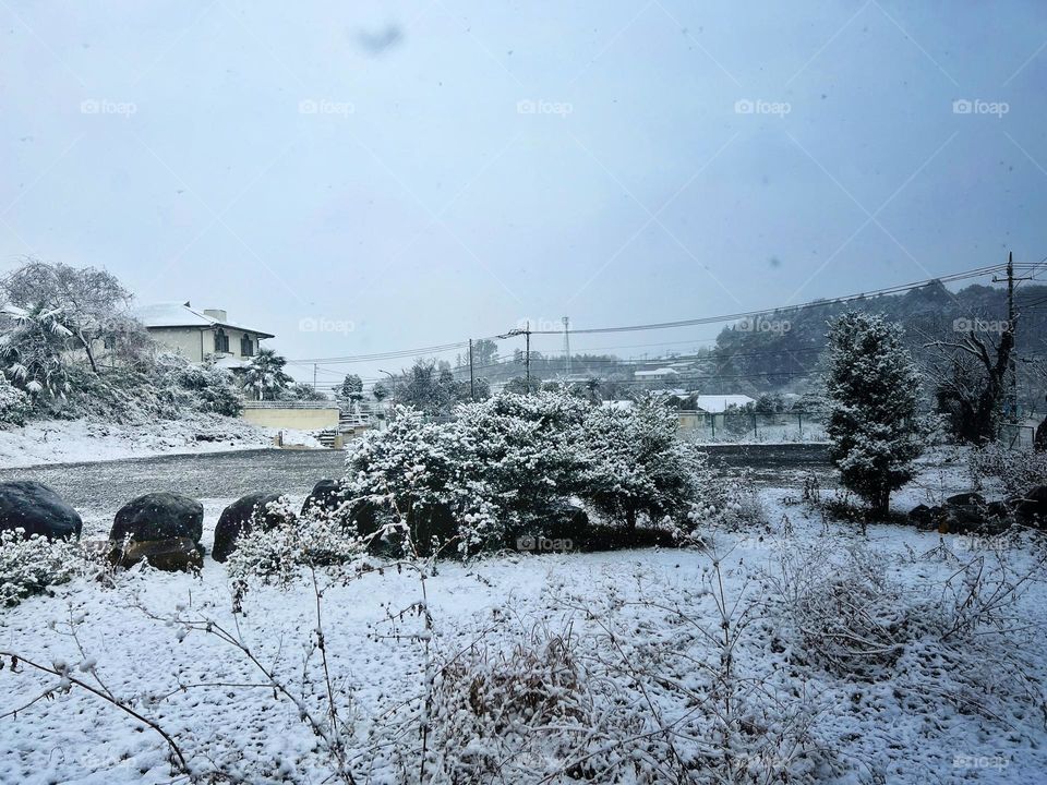 winter season climate click