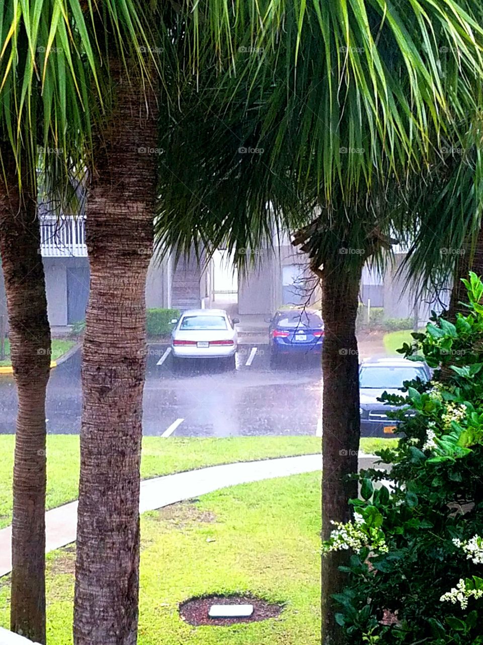 Florida pop-up rain shower