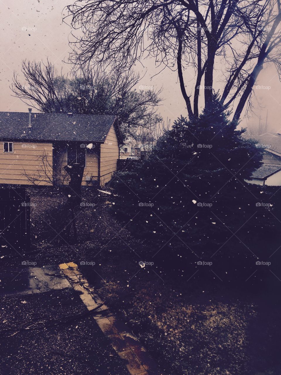 Snowing at my friends house