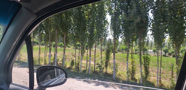welcome to my photos