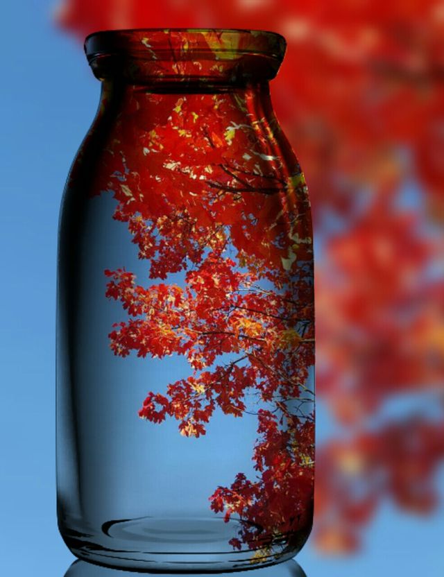 Autumn is here