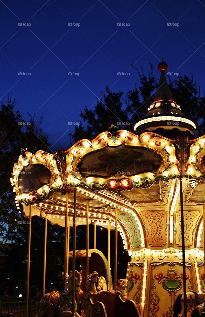 Downtown Disney carousel 
