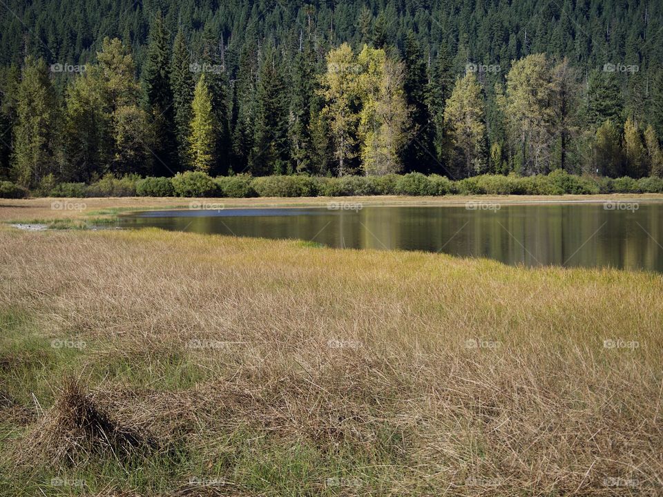 Lost Lake off of the Santiam Pass in Oregon’s mountains with multicolored trees reflecting in its waters on a beautiful sunny fall day.