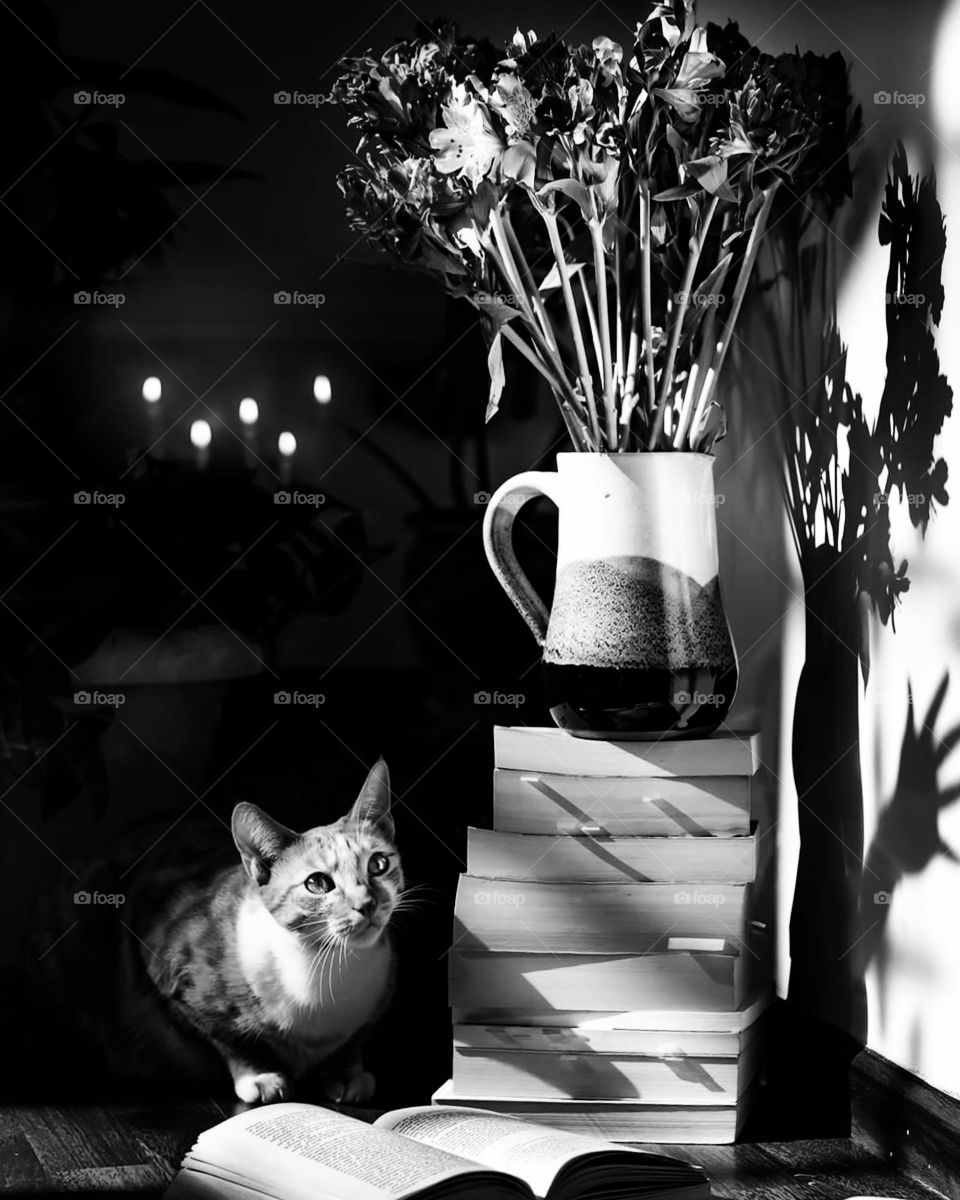 Guess what's going on in Vee's mind right now.