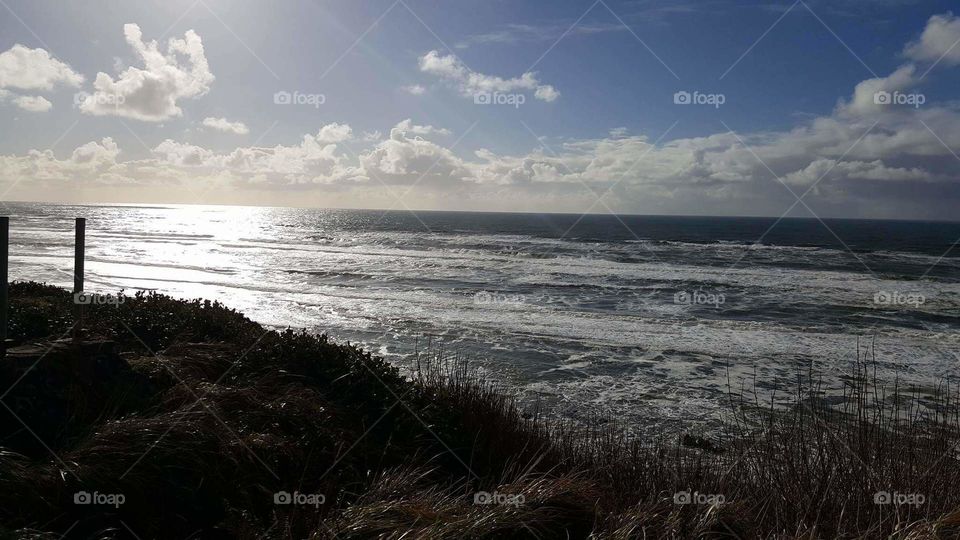 Oregon Coast