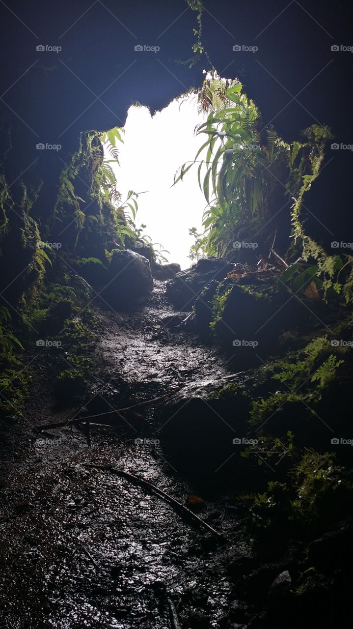 Light at the end of the tunnel
White Road Hike, Waimea HI