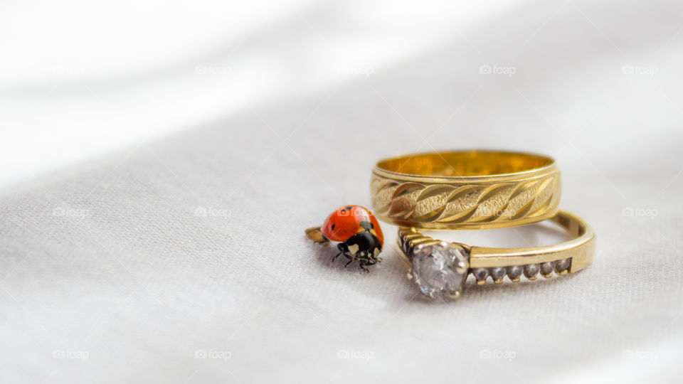 wedding rings beside bug
