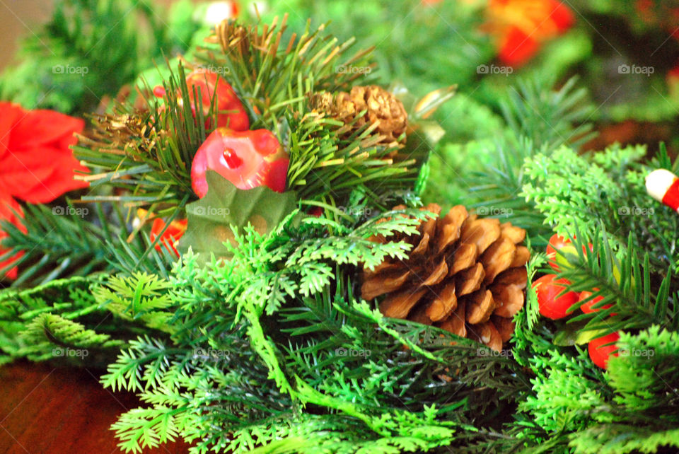 Close-up of a christmas tree