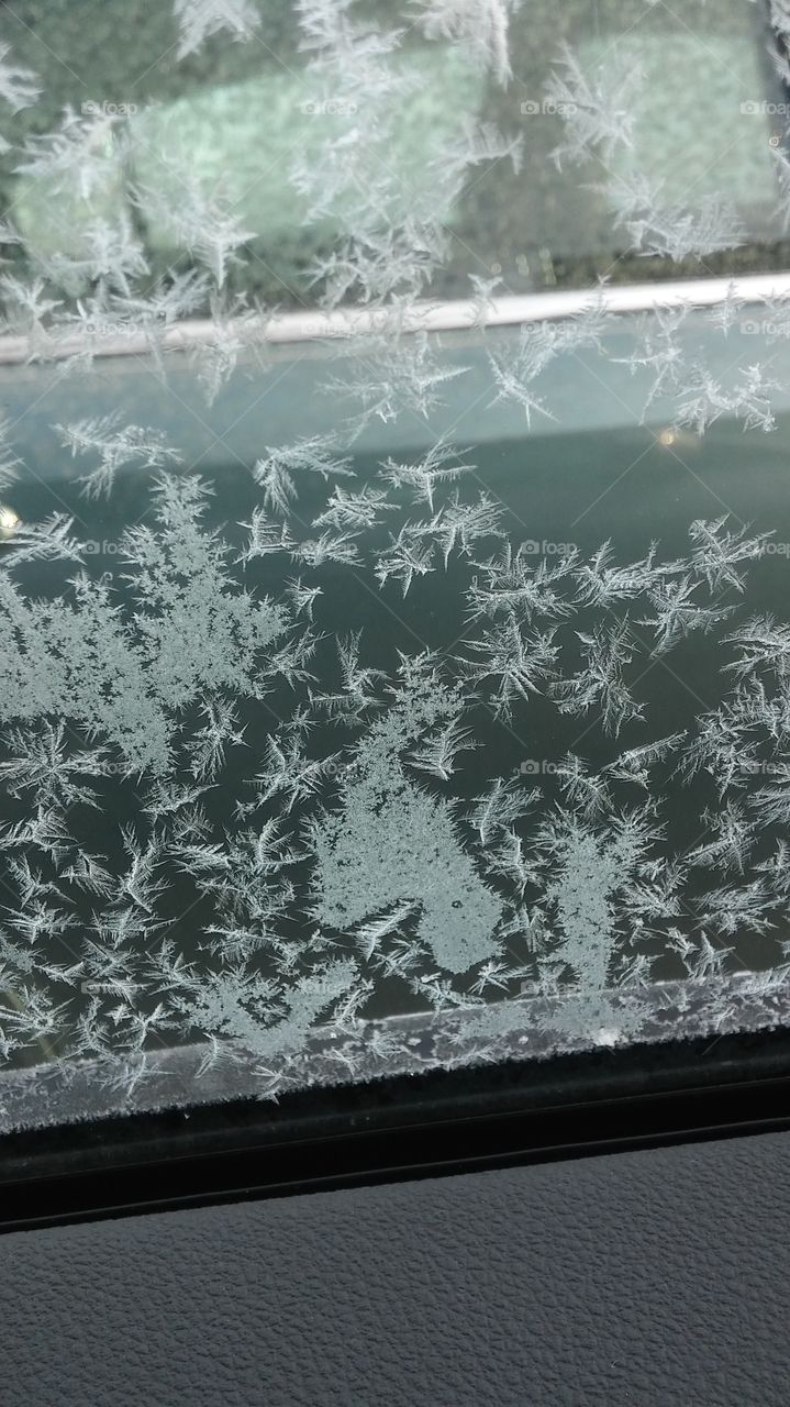 ice flakes