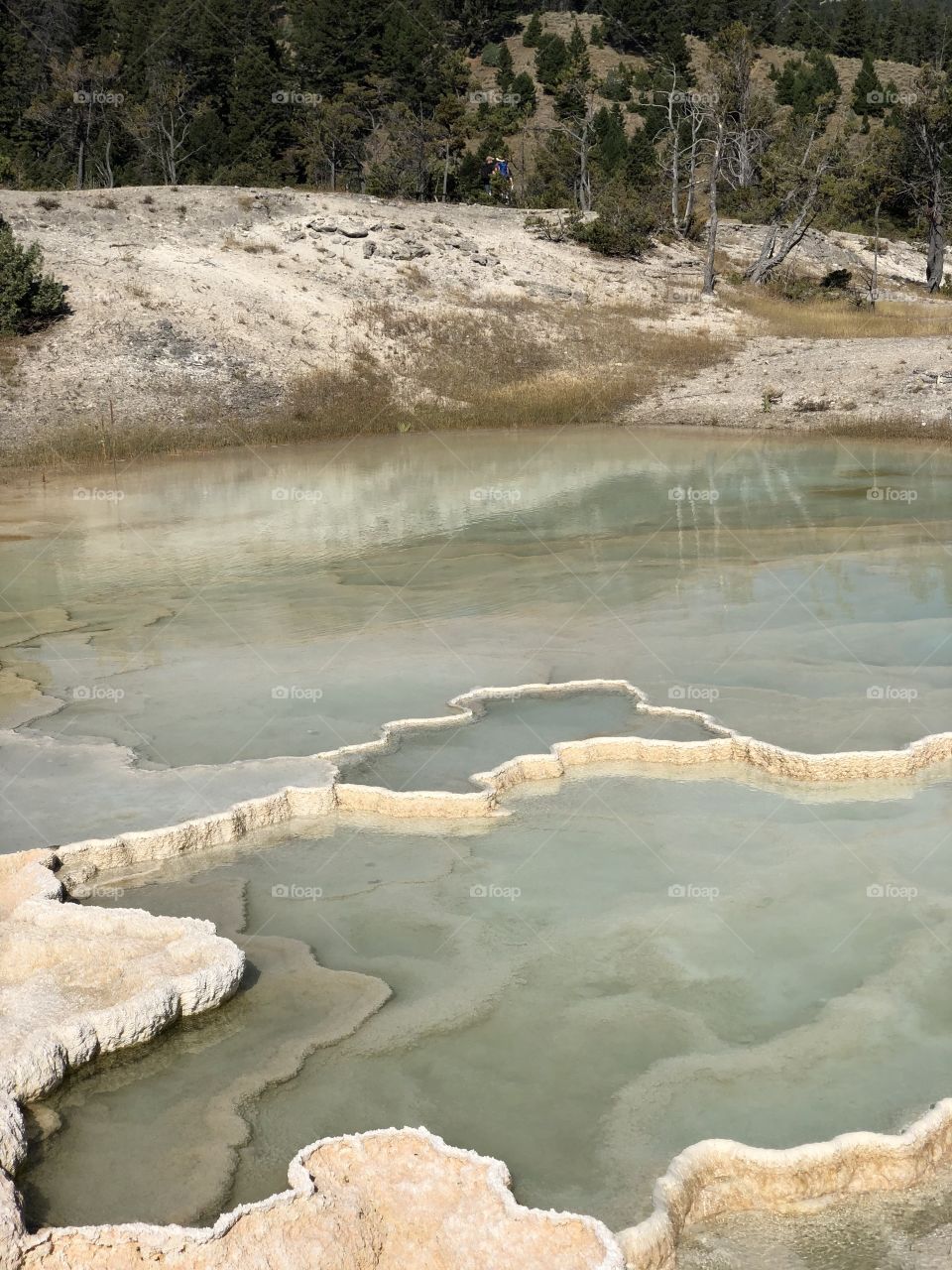 Mammoth Springs in Yellowstone National Park
