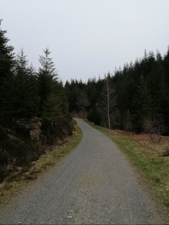Chemin des Ardennes