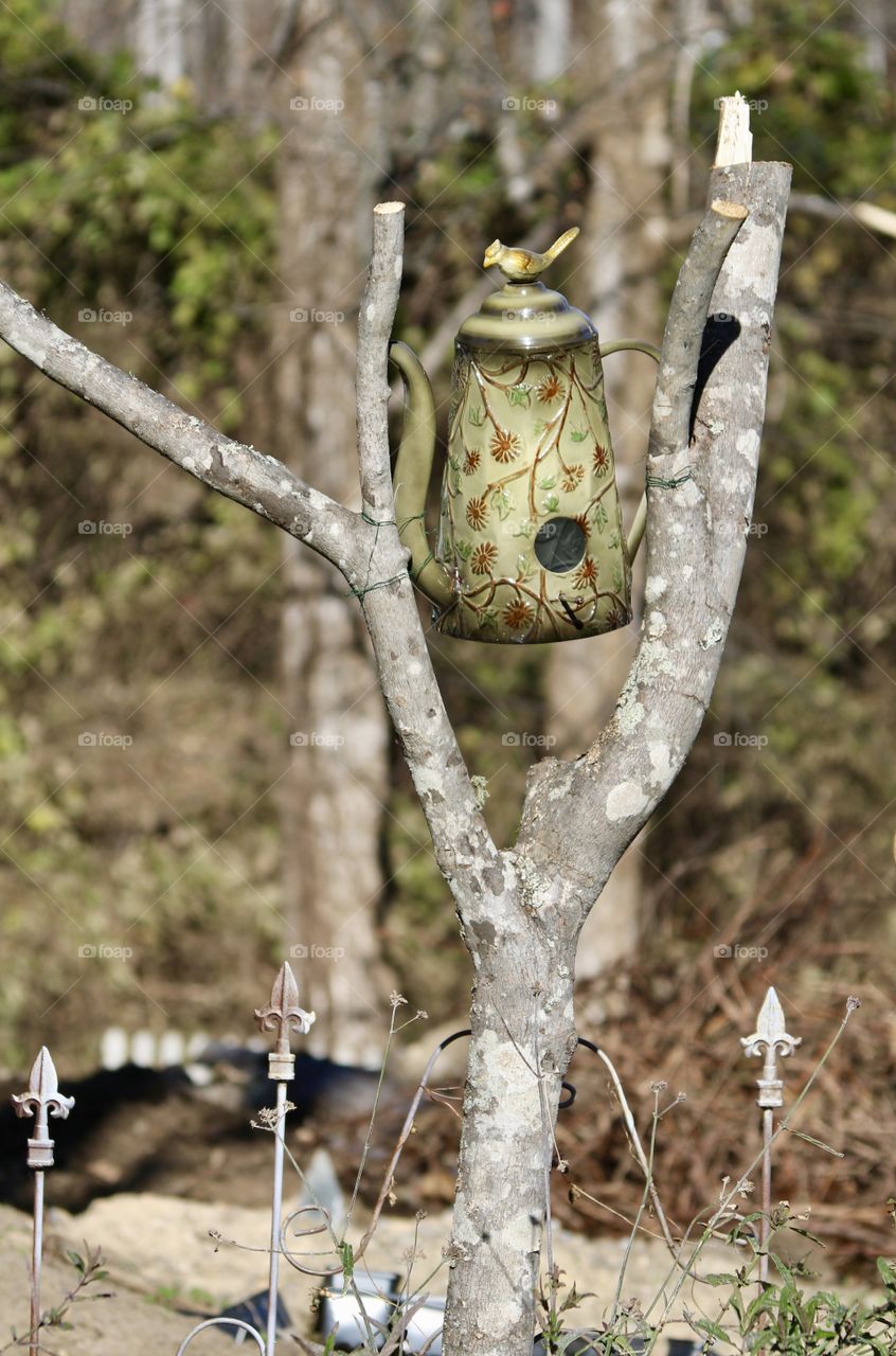 Coffee pot bird house