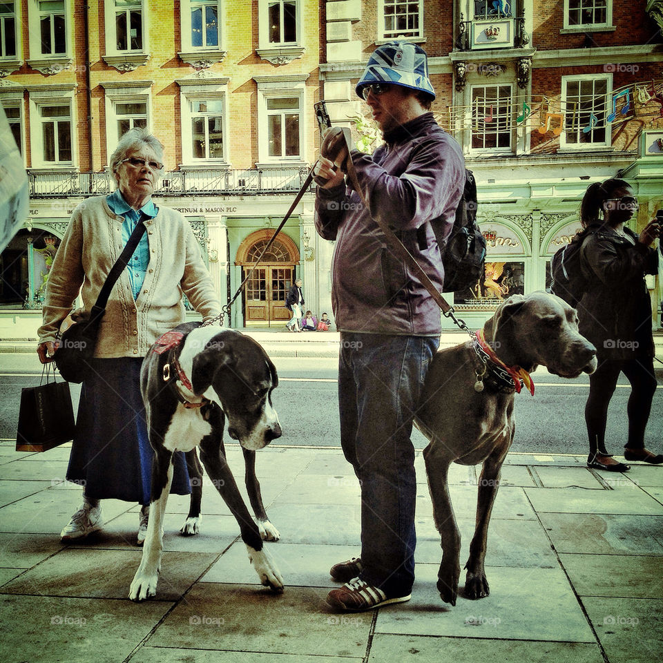 london dogs giant moments by Deeviation