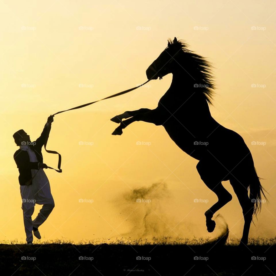 your horse is the best freind ever to be with