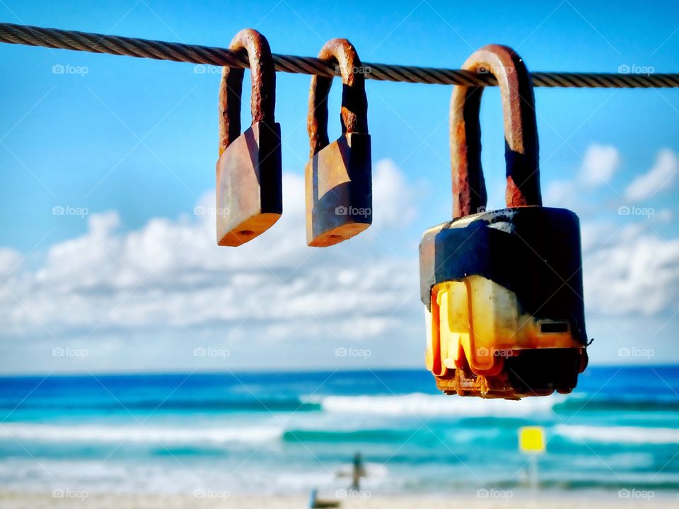 Three locks sitting in the sun, hanging out at the beach. 