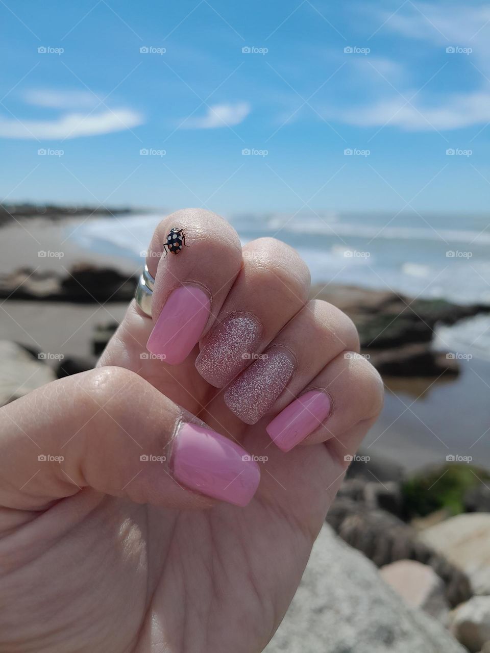 🐞