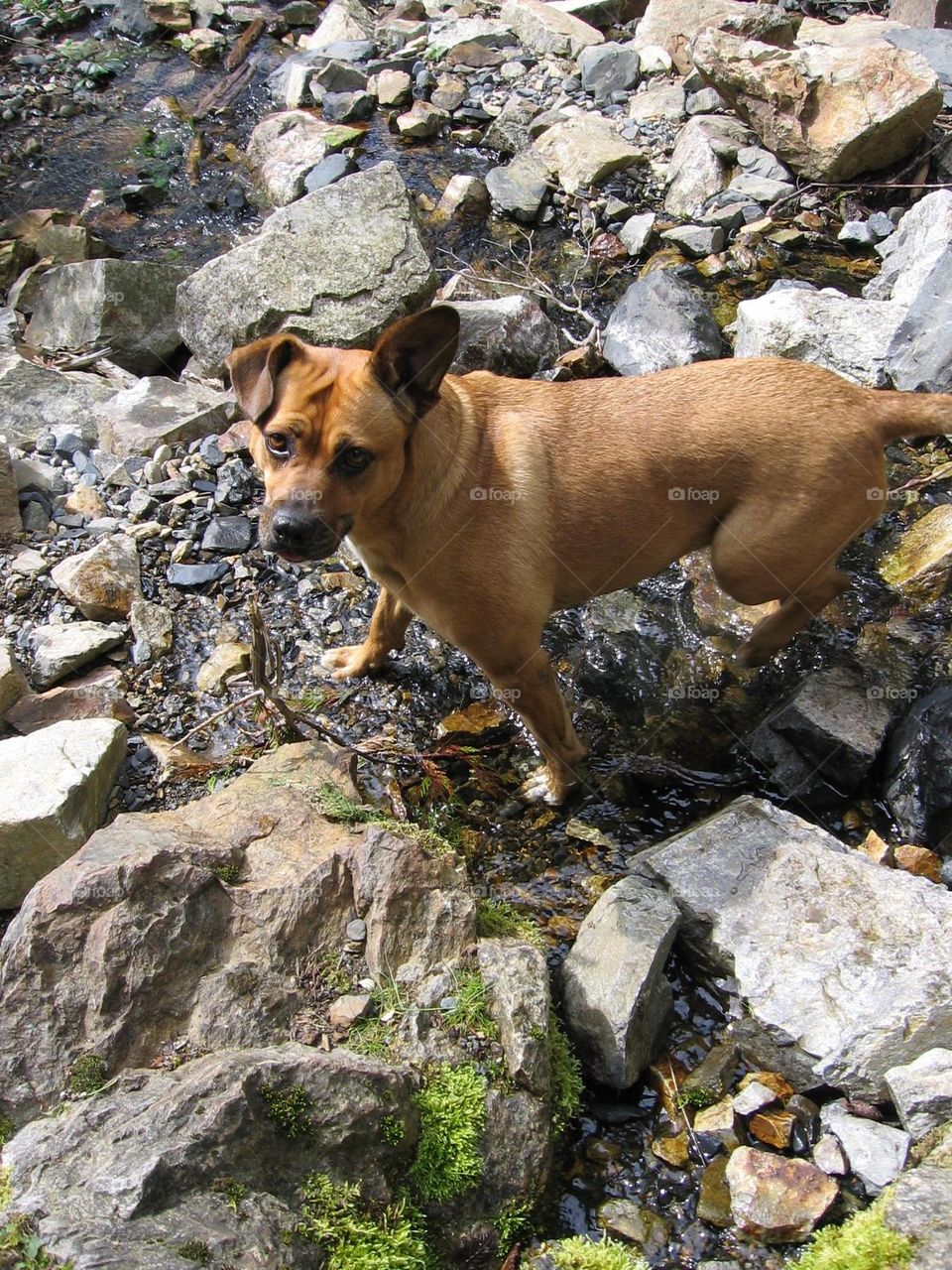 Hiking on the trails