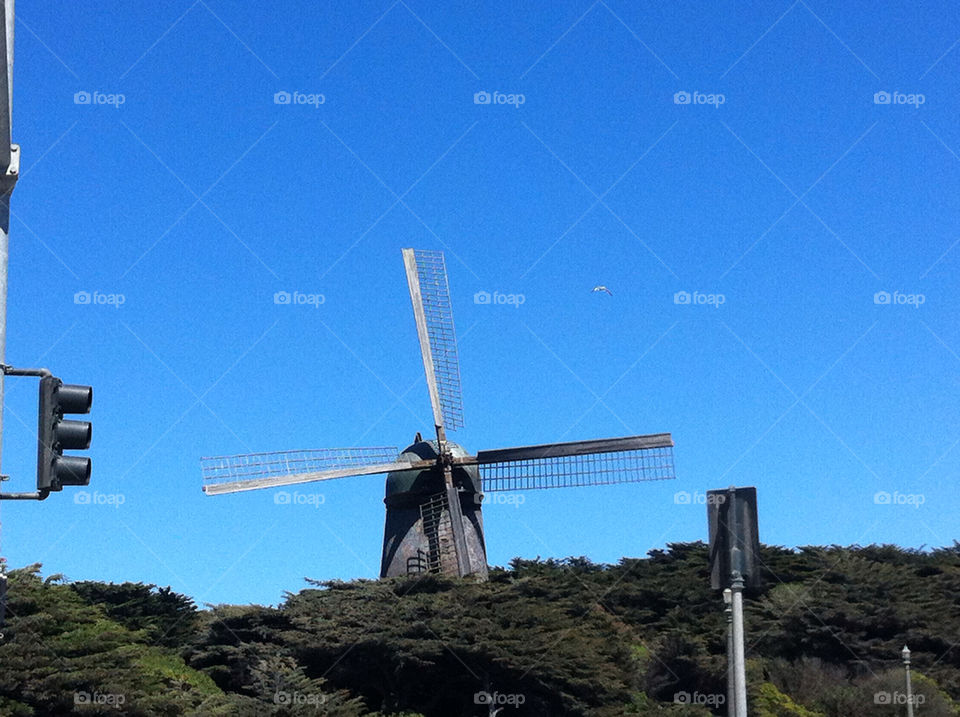 sky blue bird windmill by mbarber63