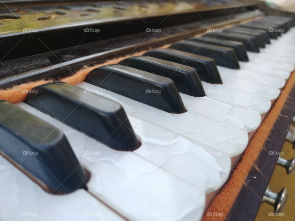 A harmonium, also called a "melodeon", "reed organ" or "pump organ", is a keyboard instrument that is a lot like an organ. It makes sound by blowing air through reeds, which are tuned to different pitches to make musical notes.