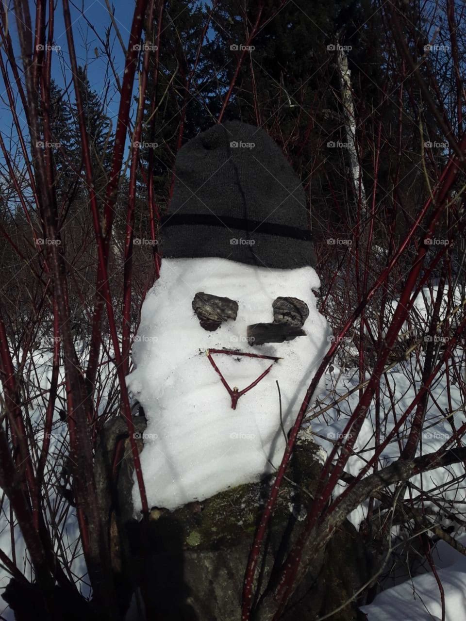 Schneemann