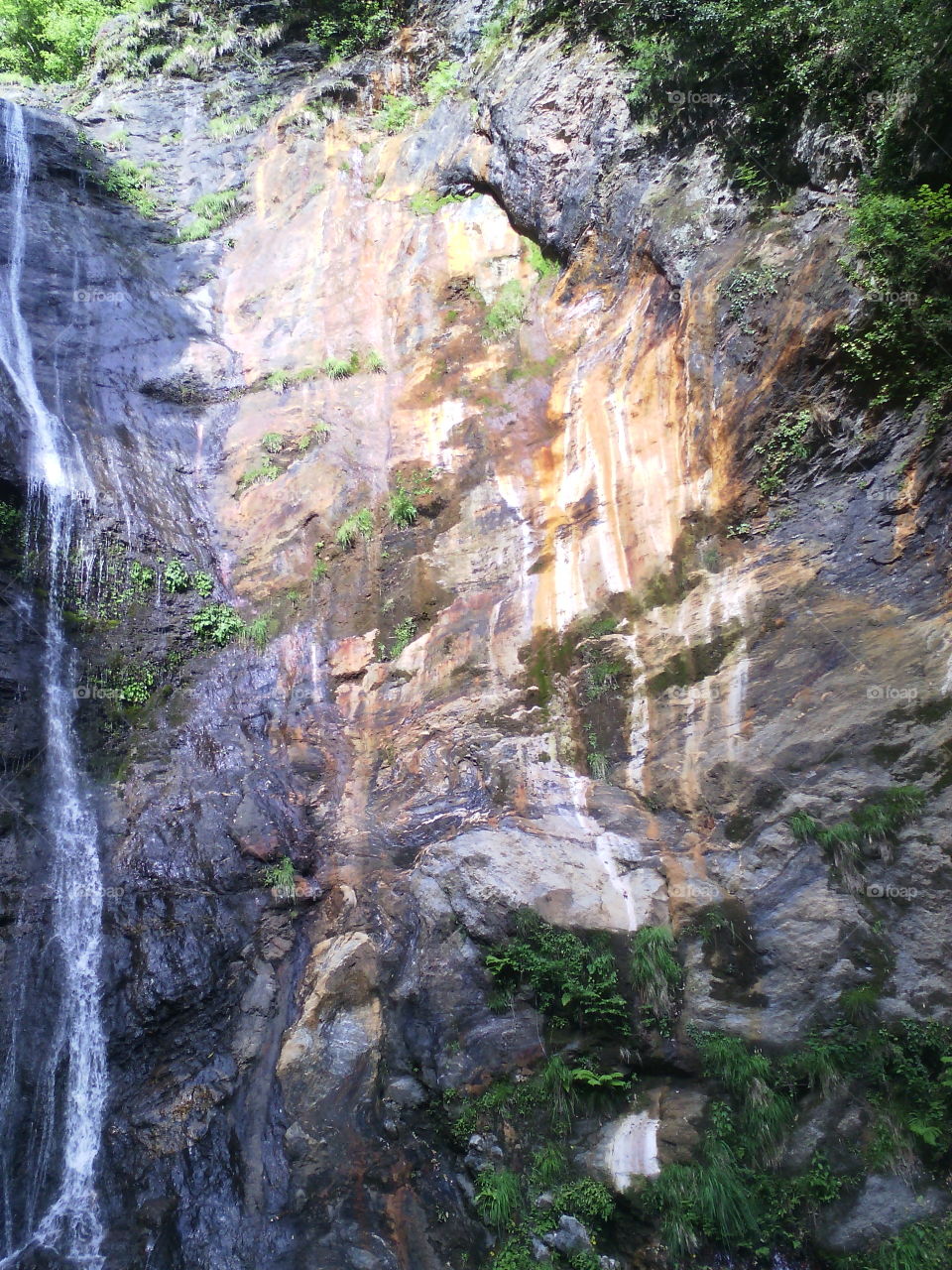 Acquapendente (Pruno,Stazzema,Tuscany)
