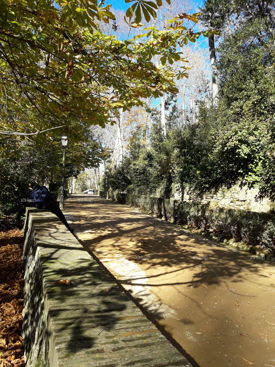 El bosque de la Alhambra.