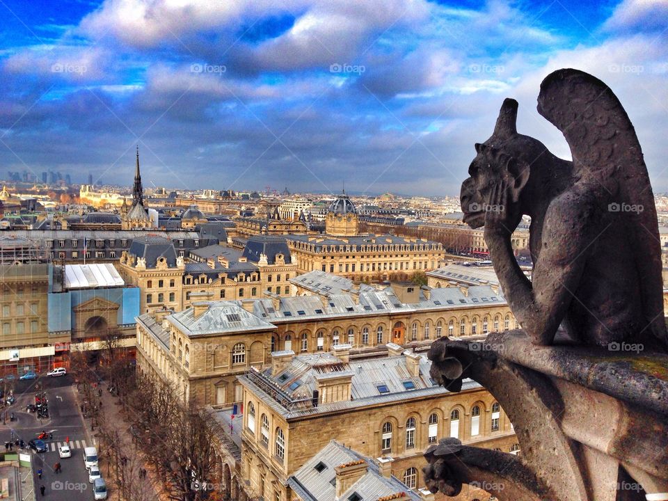 Paris, France from Notre-Dame