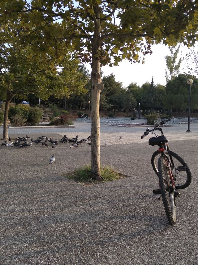 my park
