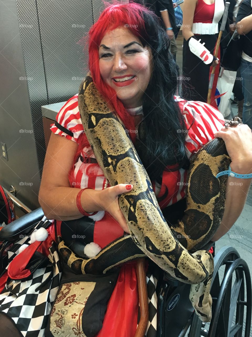 Harley Quinn in a wheel chair at San Jose Comicon smiling while holding a giant snake 