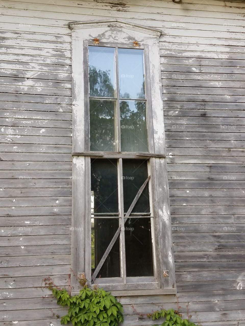 Window, House, Family, Door, Wood
