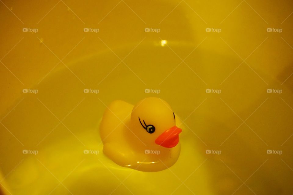 Yellow duck swimming in a yellow bath