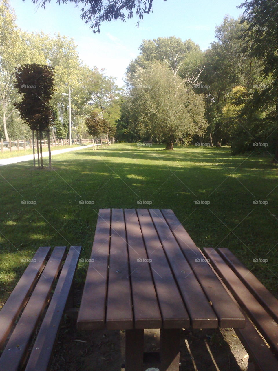 garden park, benches, trees and grass